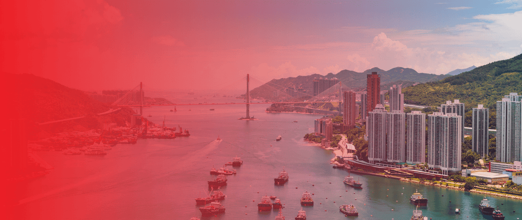 Les multiples facettes d'une société à Hong Kong : Import-Export, Conseils, Holding